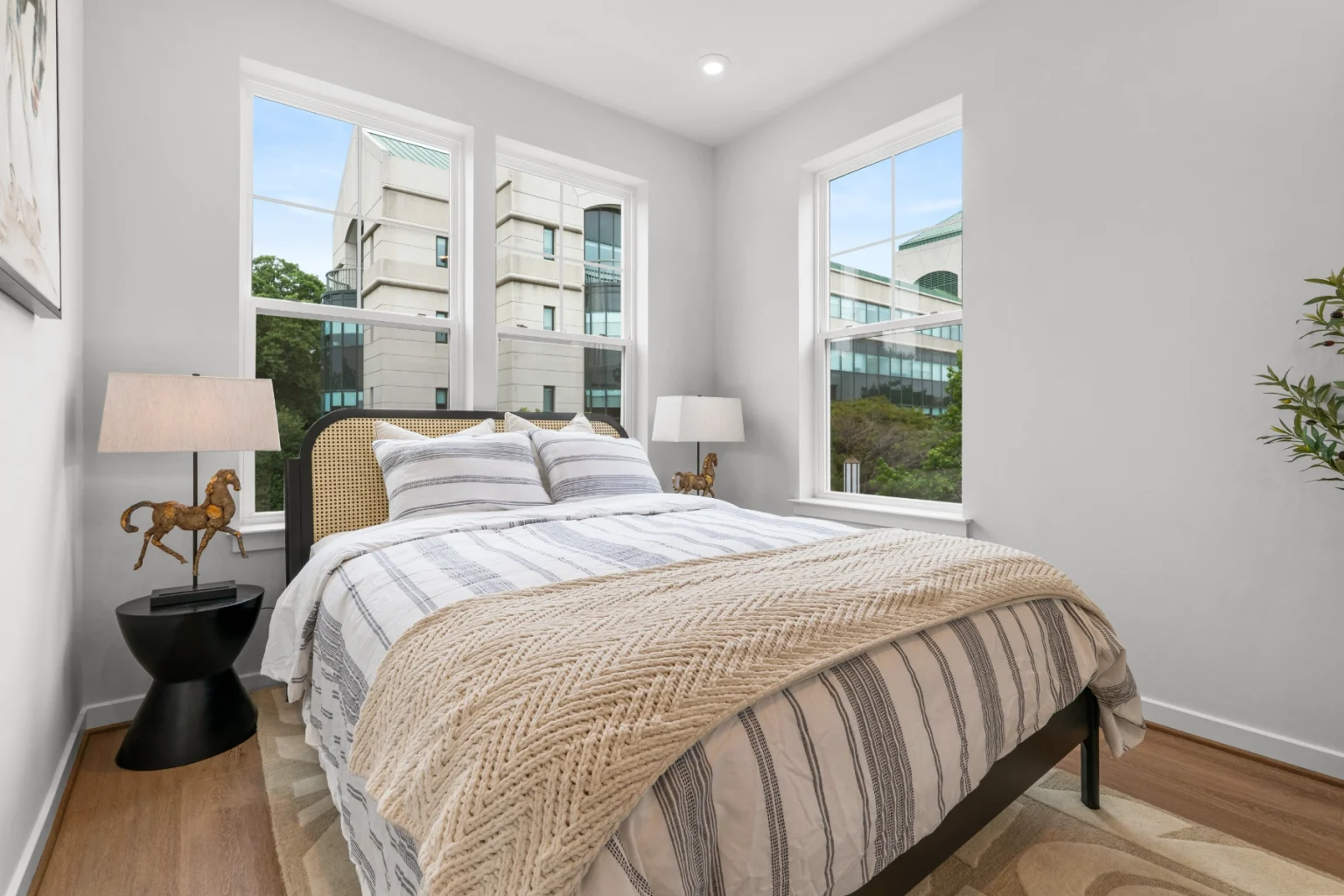 25_dsc00317